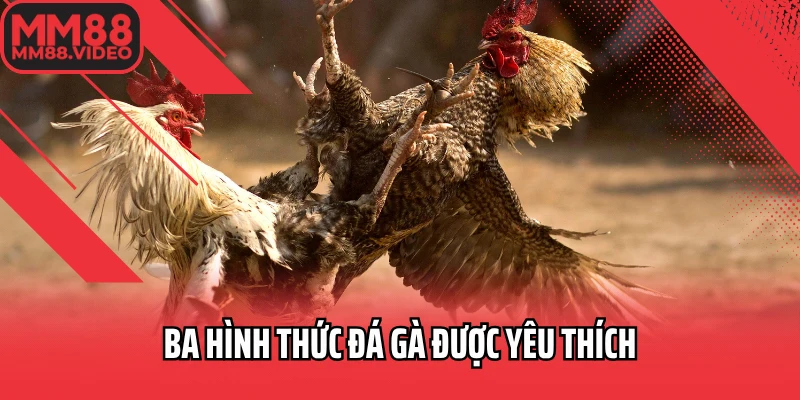 Ba hình thức đá gà được yêu thích